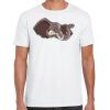 Mens Softstyle Tee Shirt Thumbnail