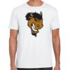 Mens Softstyle Tee Shirt Thumbnail